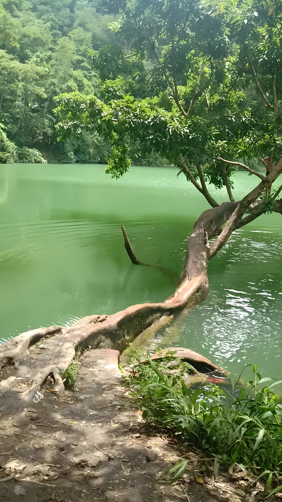 绿翠潭3.jpg