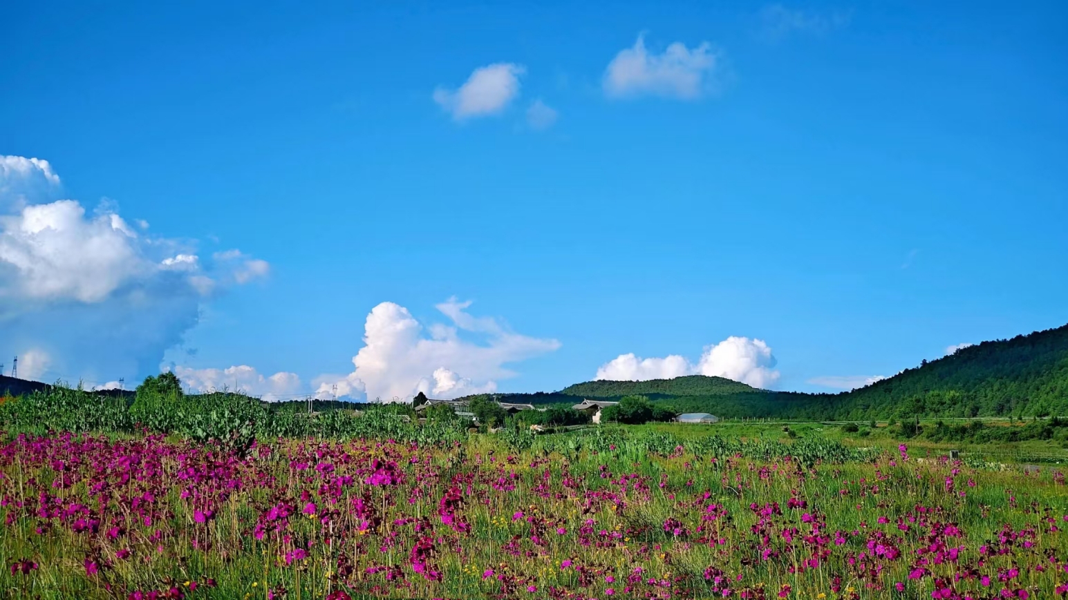 1b814eb549694a0963d12f9c1495c1c0_副本.jpg