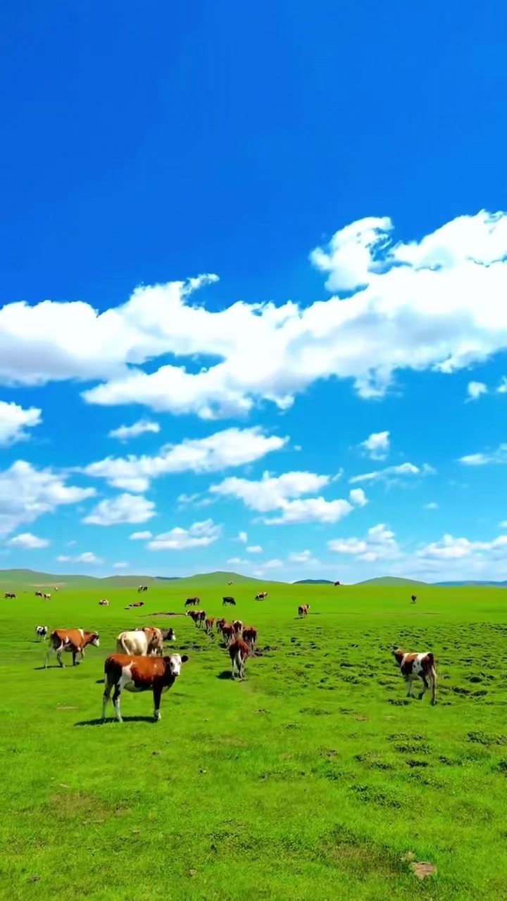 ff556dc2204e14b4e254c807034e9123_副本.jpg