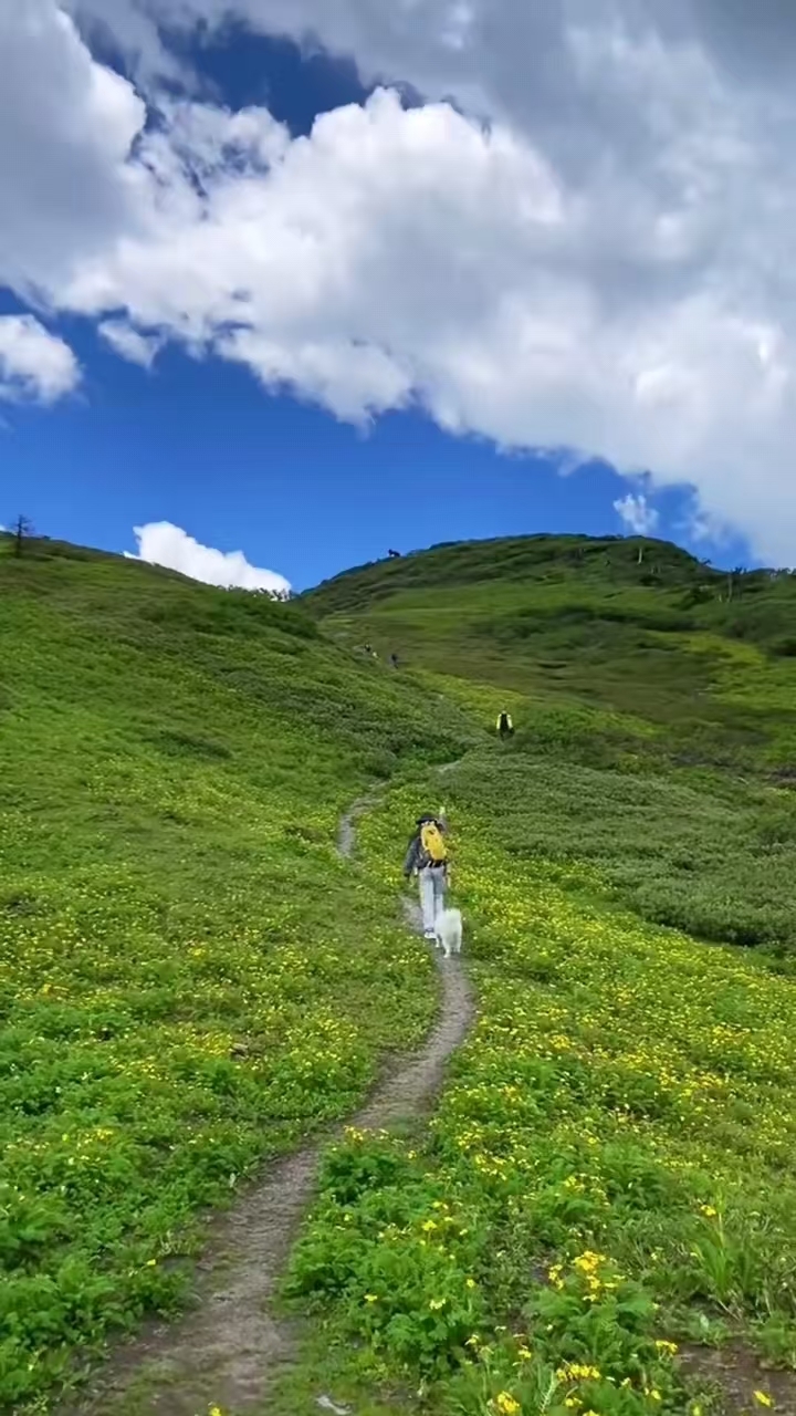 5a81e93f8703ef8ac408f0b1b7f2f27d_副本.jpg