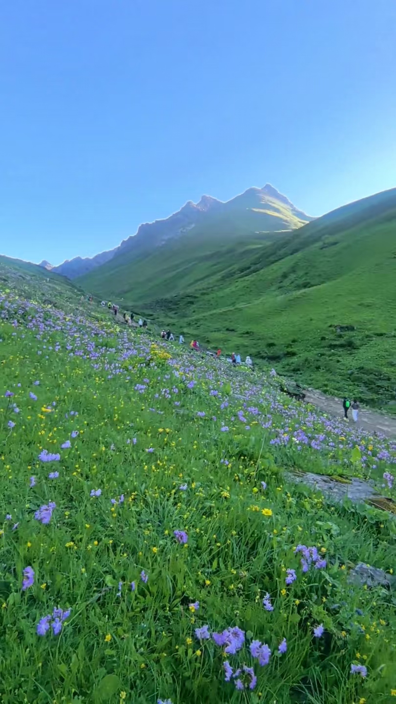 fb341e3f143d2fb9205aedddf7e5bdd0_副本.jpg