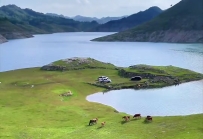 贵州黔西桐山村露营地推荐