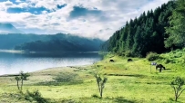 腾冲秘境打卡：塘子坝露营地