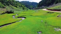 临沧今日份露营推荐：大木头河
