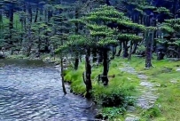 大理苍山徒步，兰峰黑龙潭野线攻略